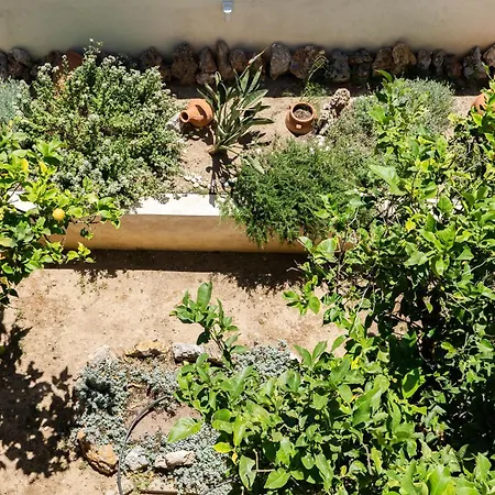 Medusa Studio & Apartment *